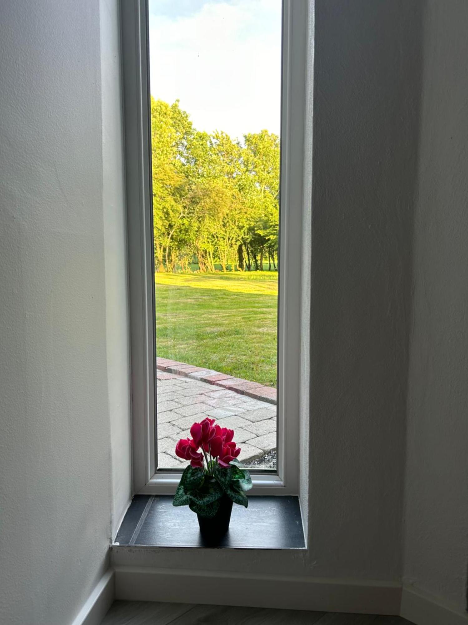 Luxury Apartment Curchi 2 ビルン エクステリア 写真